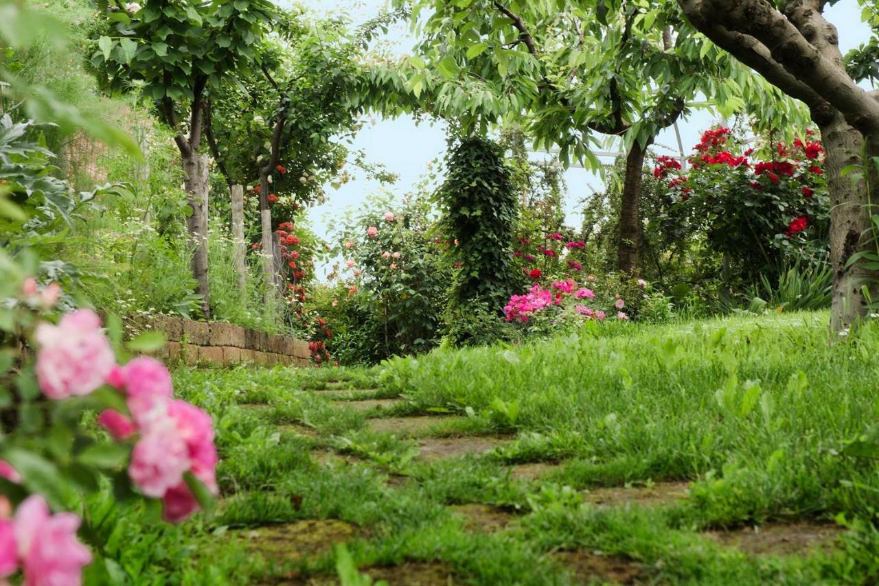 Carossi B&B Castagnole delle Lanze Exterior photo